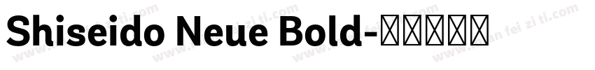 Shiseido Neue Bold字体转换